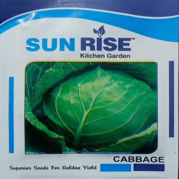Cabbage Seeds